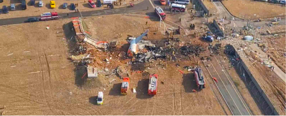 Bimaculate Duck Strike Behind the Mayday Call of Jeju Air Boeing 737-800 Ending In the Fatal Crash , Says Preliminary Report.